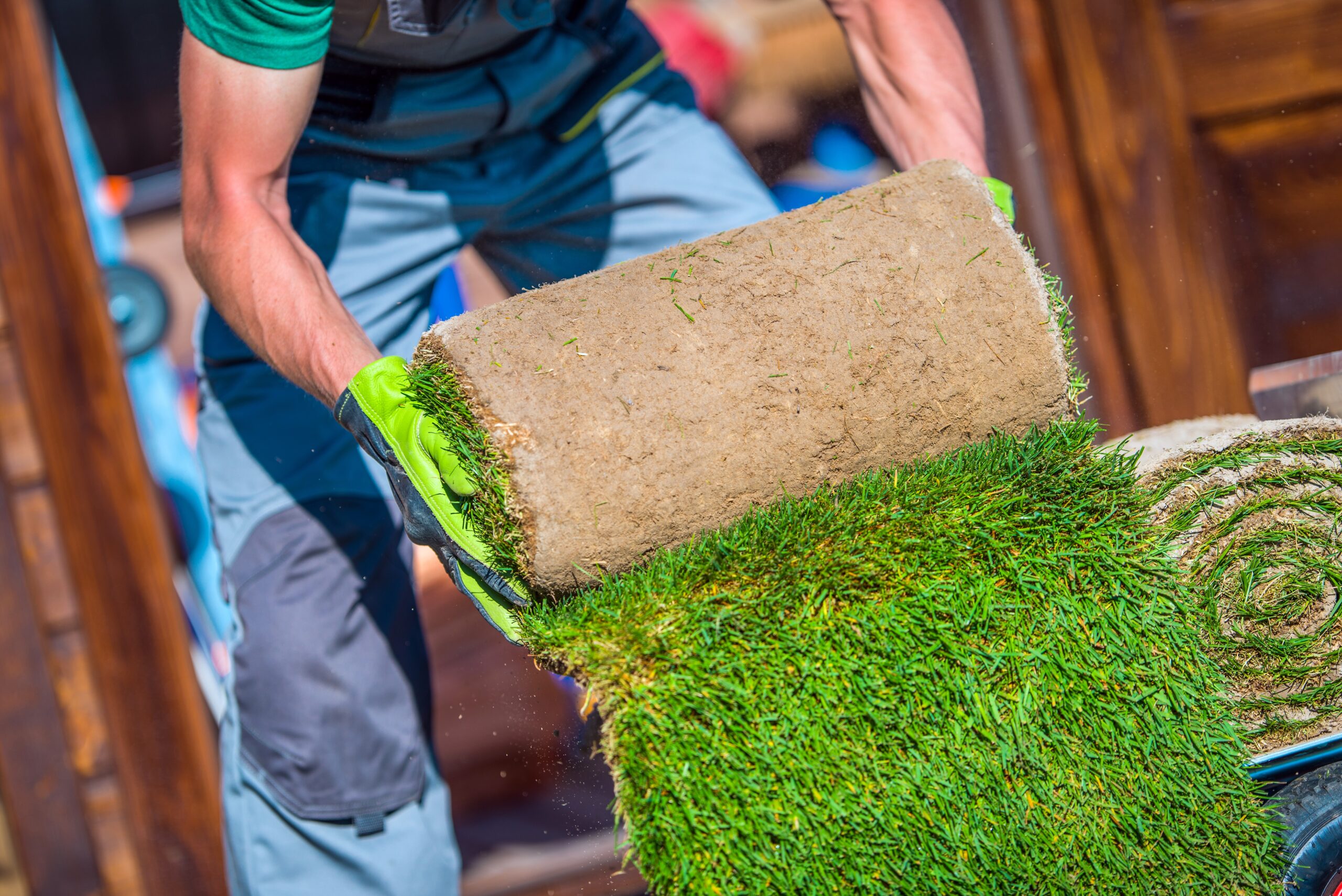 grass turfs garden work